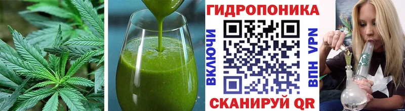 Купить закладки  Фатеж  Cannafood марихуана 