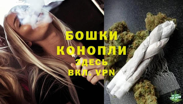 гидра Кукмор