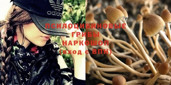 mdpv Кулебаки