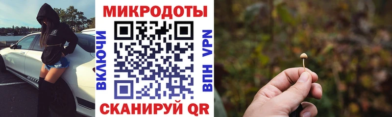 Купить где  Фатеж  Галлюциногенные грибы ЛСД 
